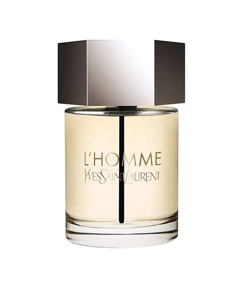 l homme by ysl edt spray|YSL l'homme edt fragrantica.